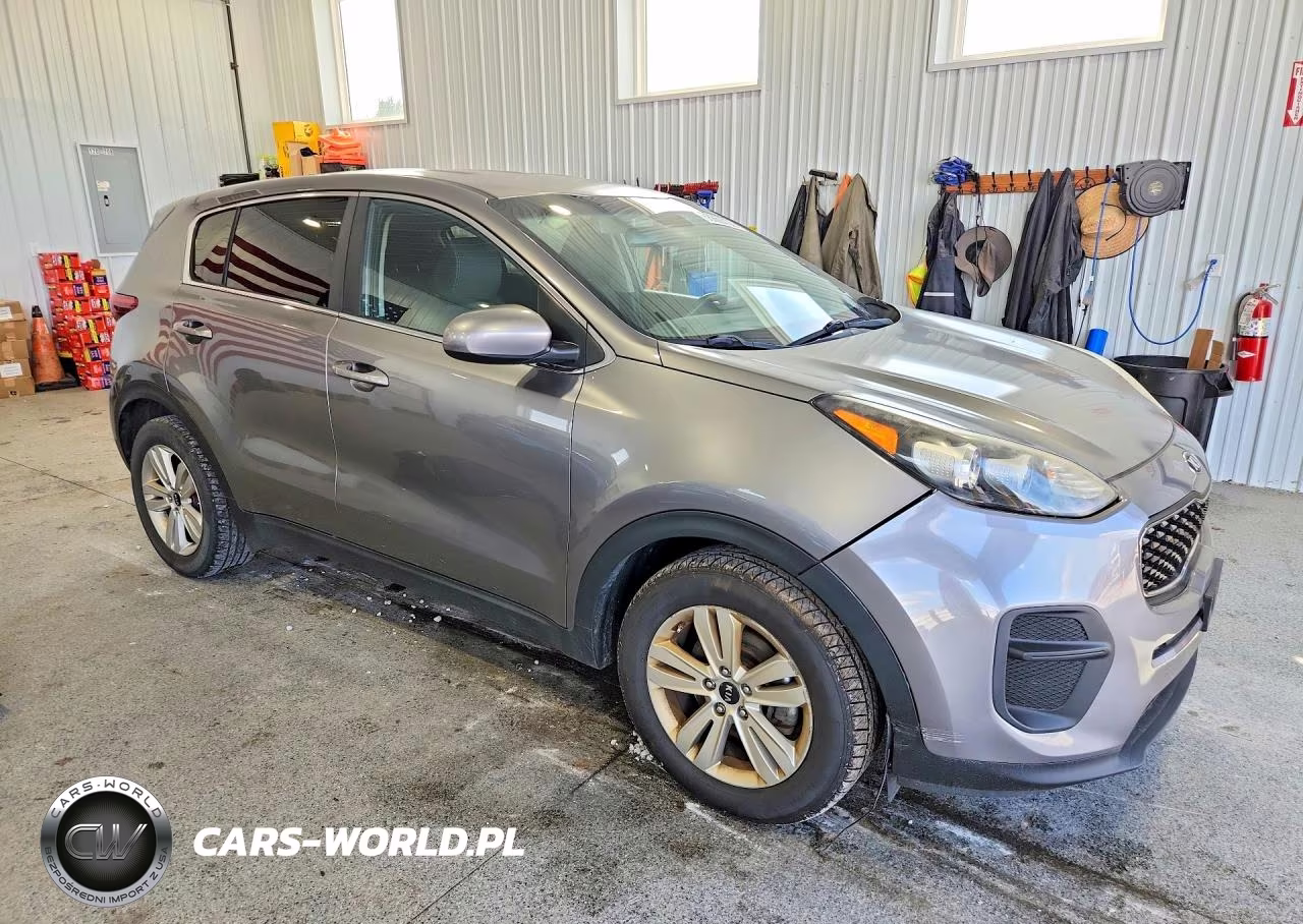 2019 Kia Sportage Lx VIN:KNDPM3AC2K7509563 - 4