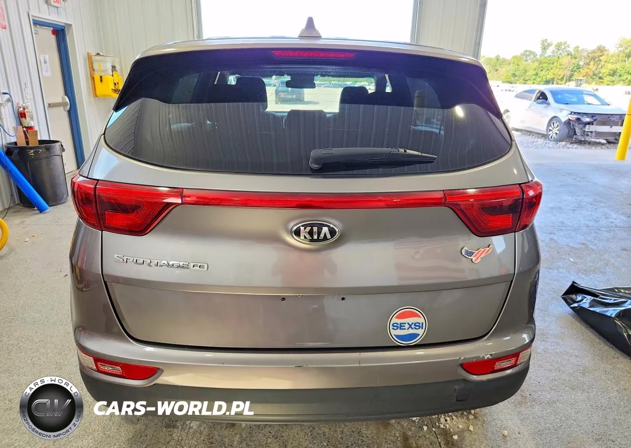 2019 Kia Sportage Lx VIN:KNDPM3AC2K7509563 - 6
