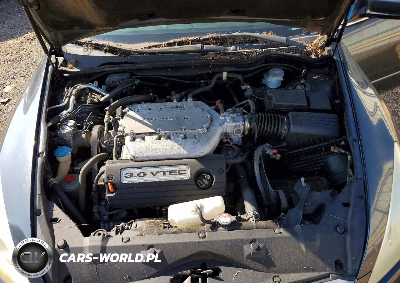 2006 Honda Accord Ex VIN:1HGCM66596A000493 - 11