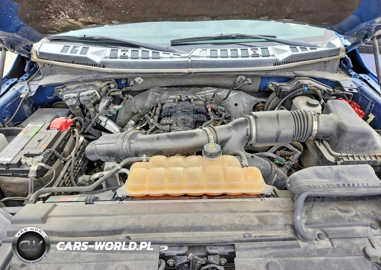 2017 Ford F150 Supercrew VIN:1FTEW1EG8HKD54204 - 11