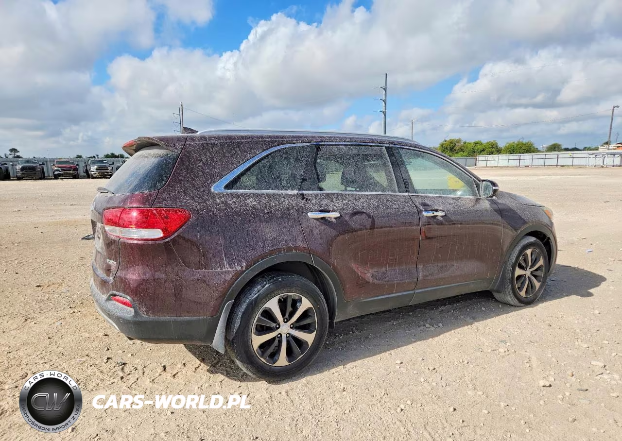 2017 Kia Sorento Ex VIN:5XYPH4A11HG252075 - 3