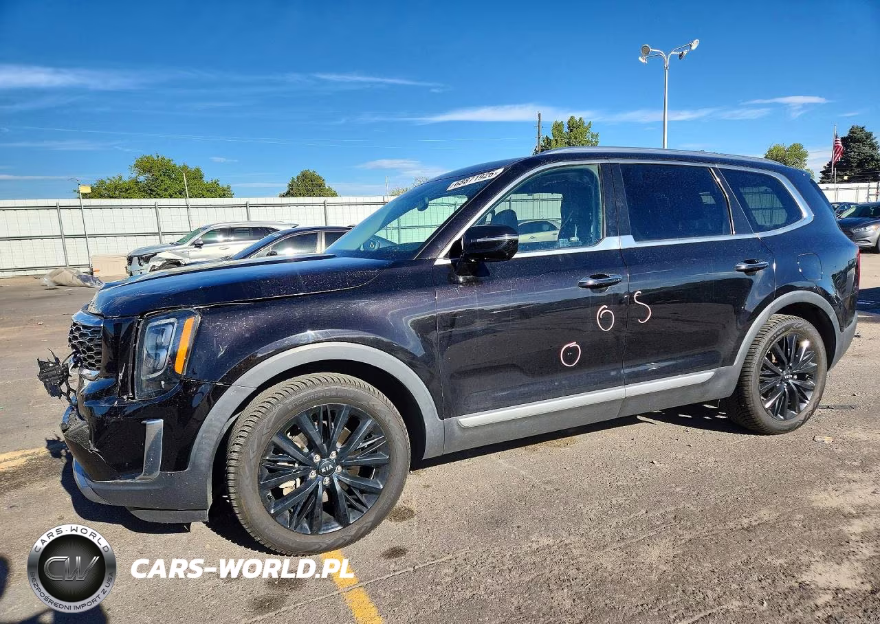 2020 Kia Telluride Sx VIN:5XYP5DHCXLG066124 - 1