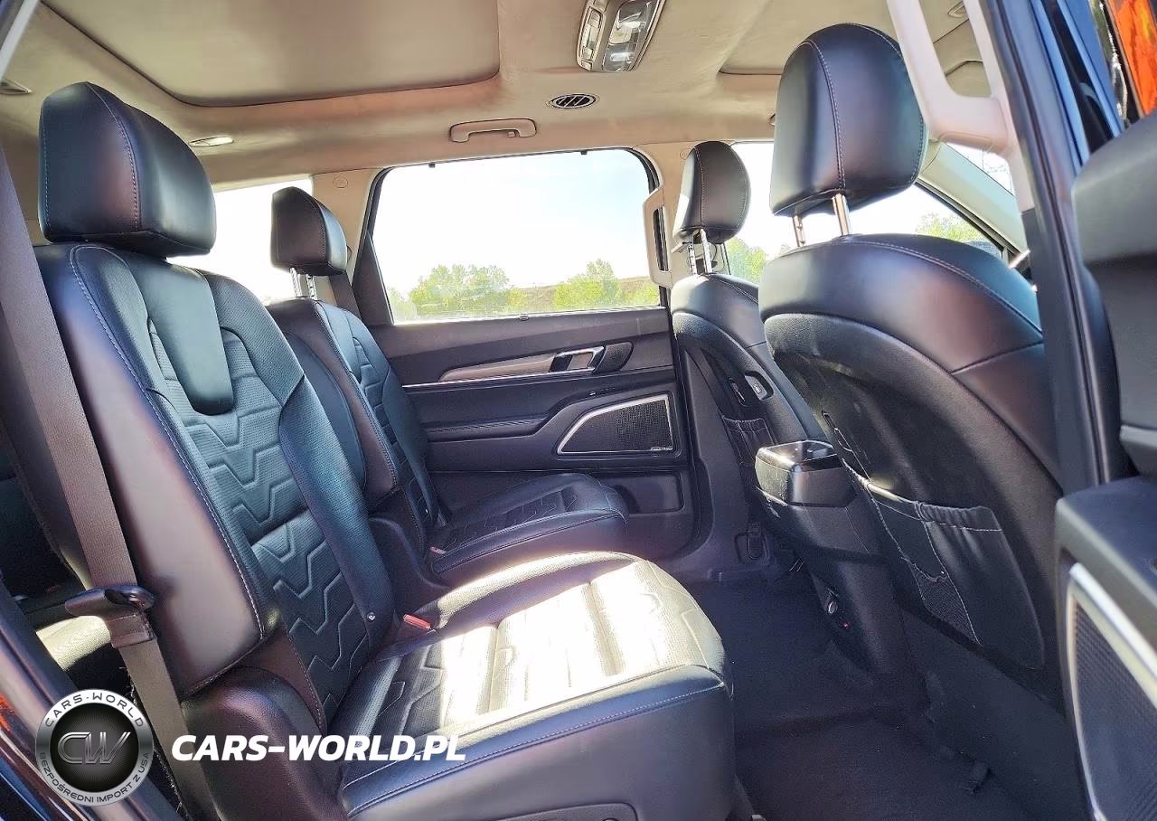 2020 Kia Telluride Sx VIN:5XYP5DHCXLG066124 - 11
