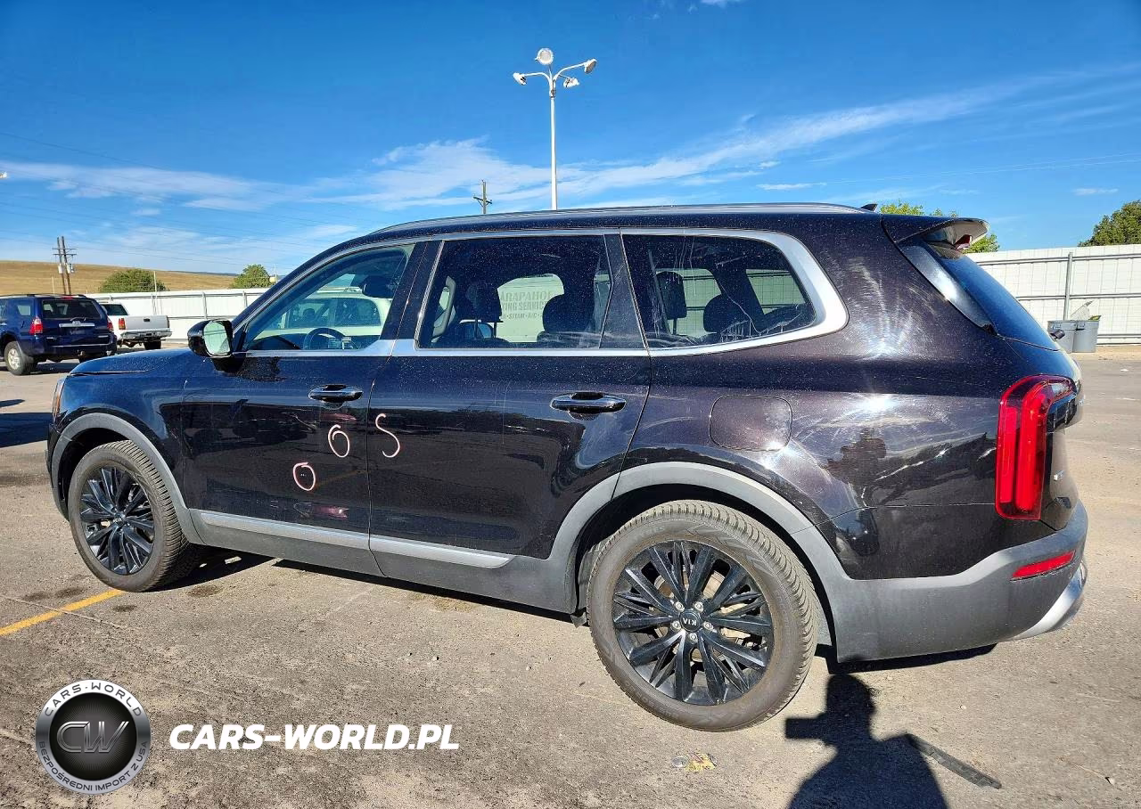 2020 Kia Telluride Sx VIN:5XYP5DHCXLG066124 - 2