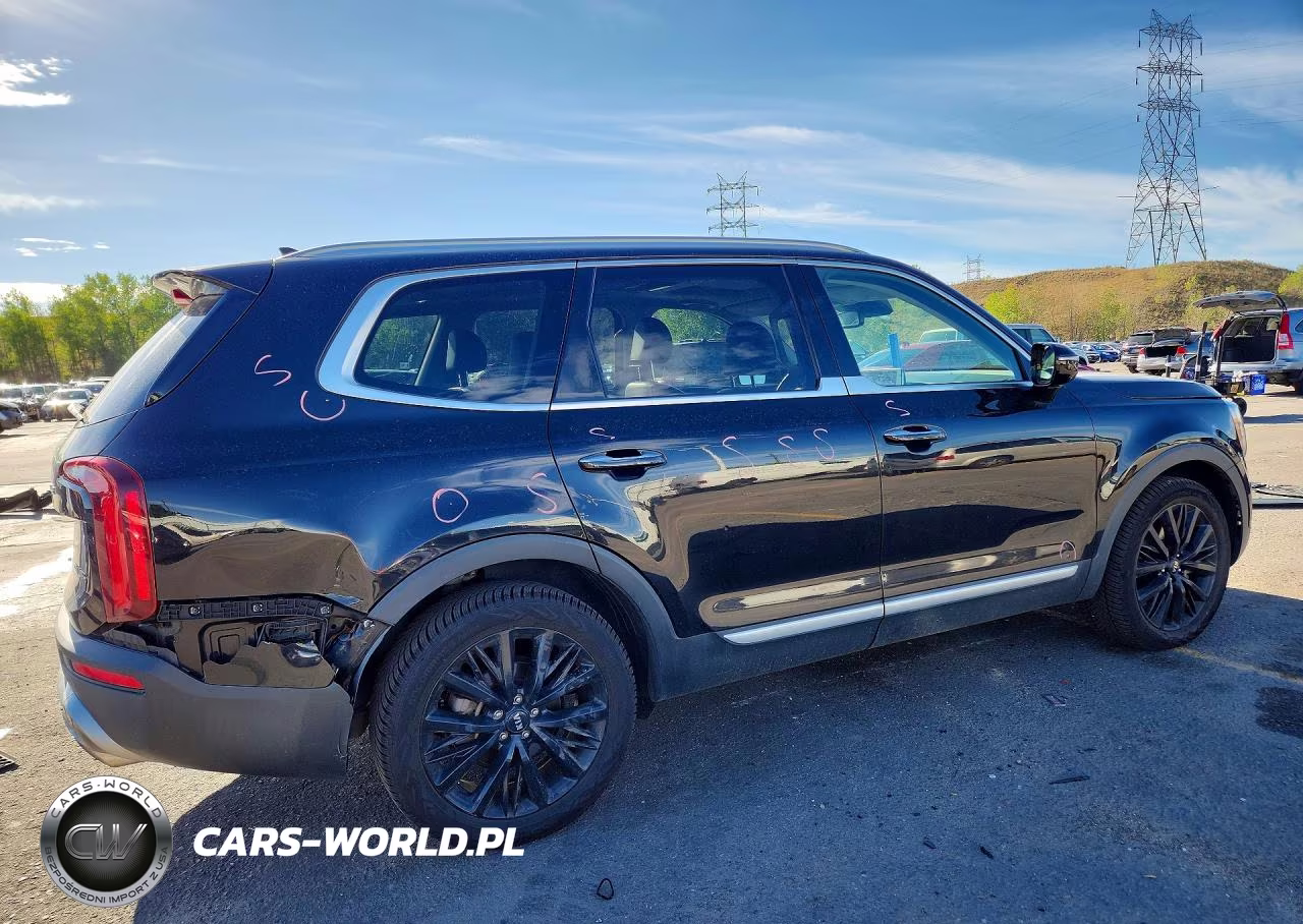 2020 Kia Telluride Sx VIN:5XYP5DHCXLG066124 - 3