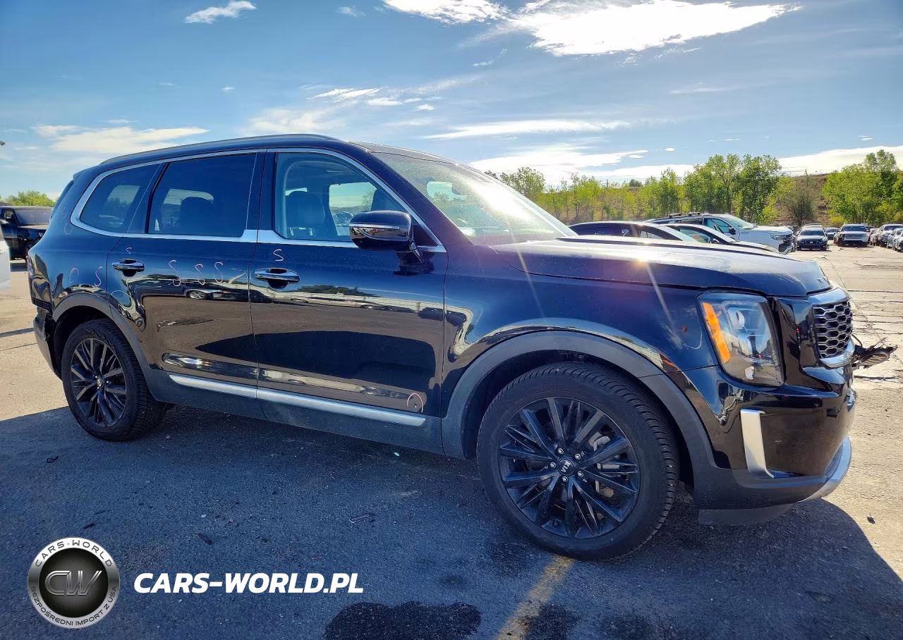 2020 Kia Telluride Sx VIN:5XYP5DHCXLG066124 - 4
