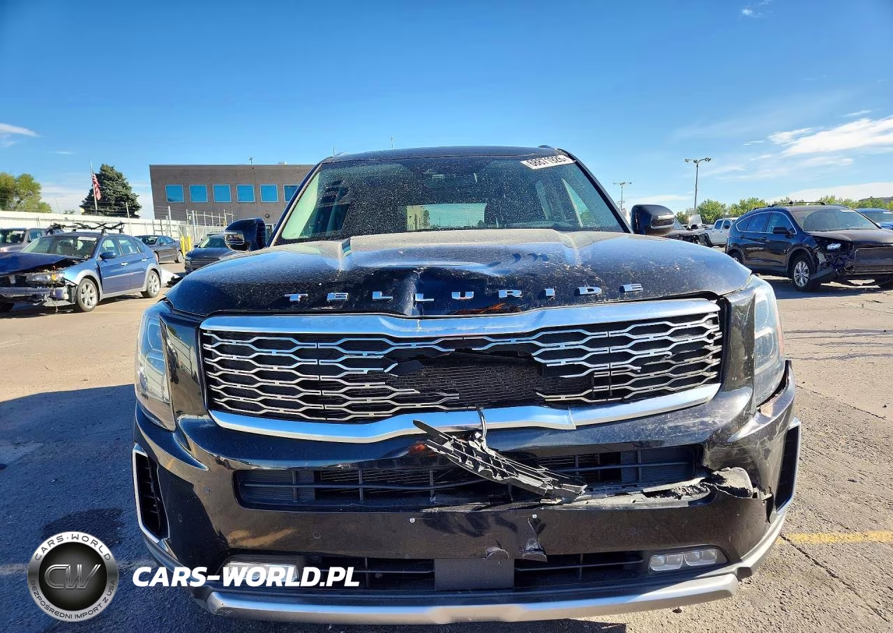 2020 Kia Telluride Sx VIN:5XYP5DHCXLG066124 - 5