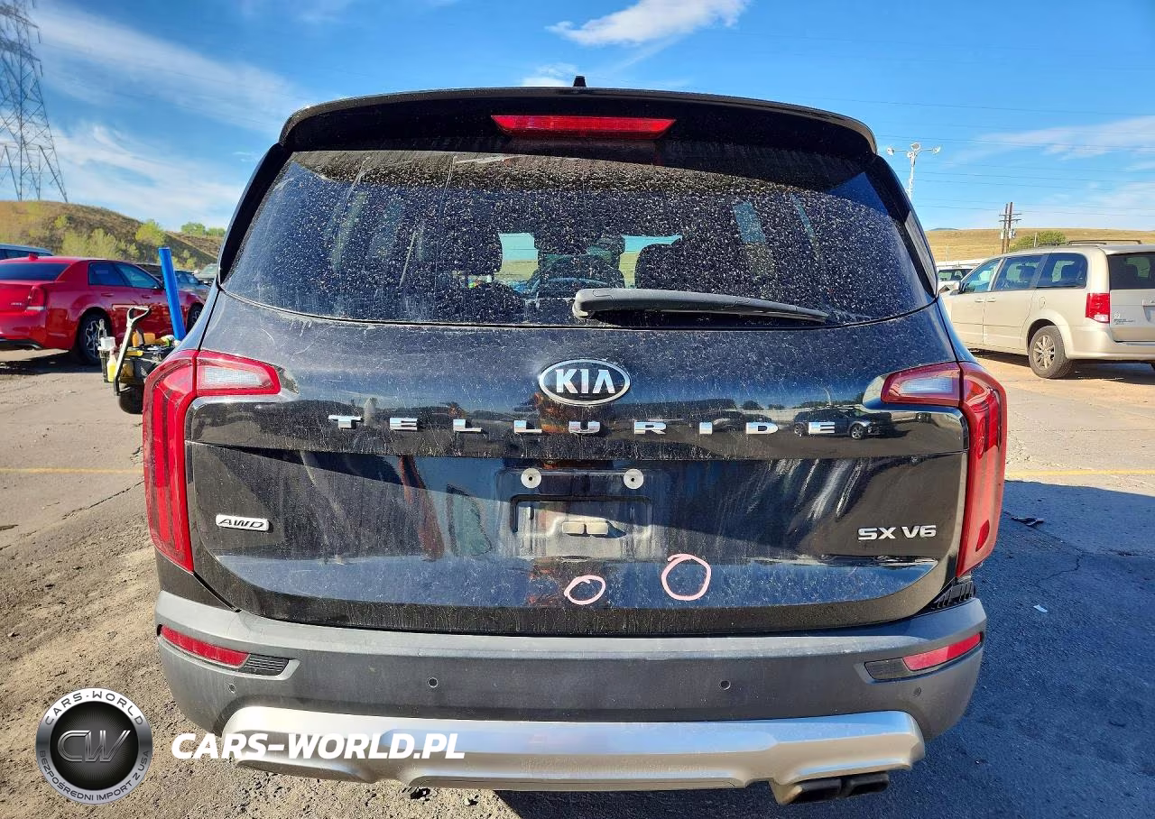 2020 Kia Telluride Sx VIN:5XYP5DHCXLG066124 - 6