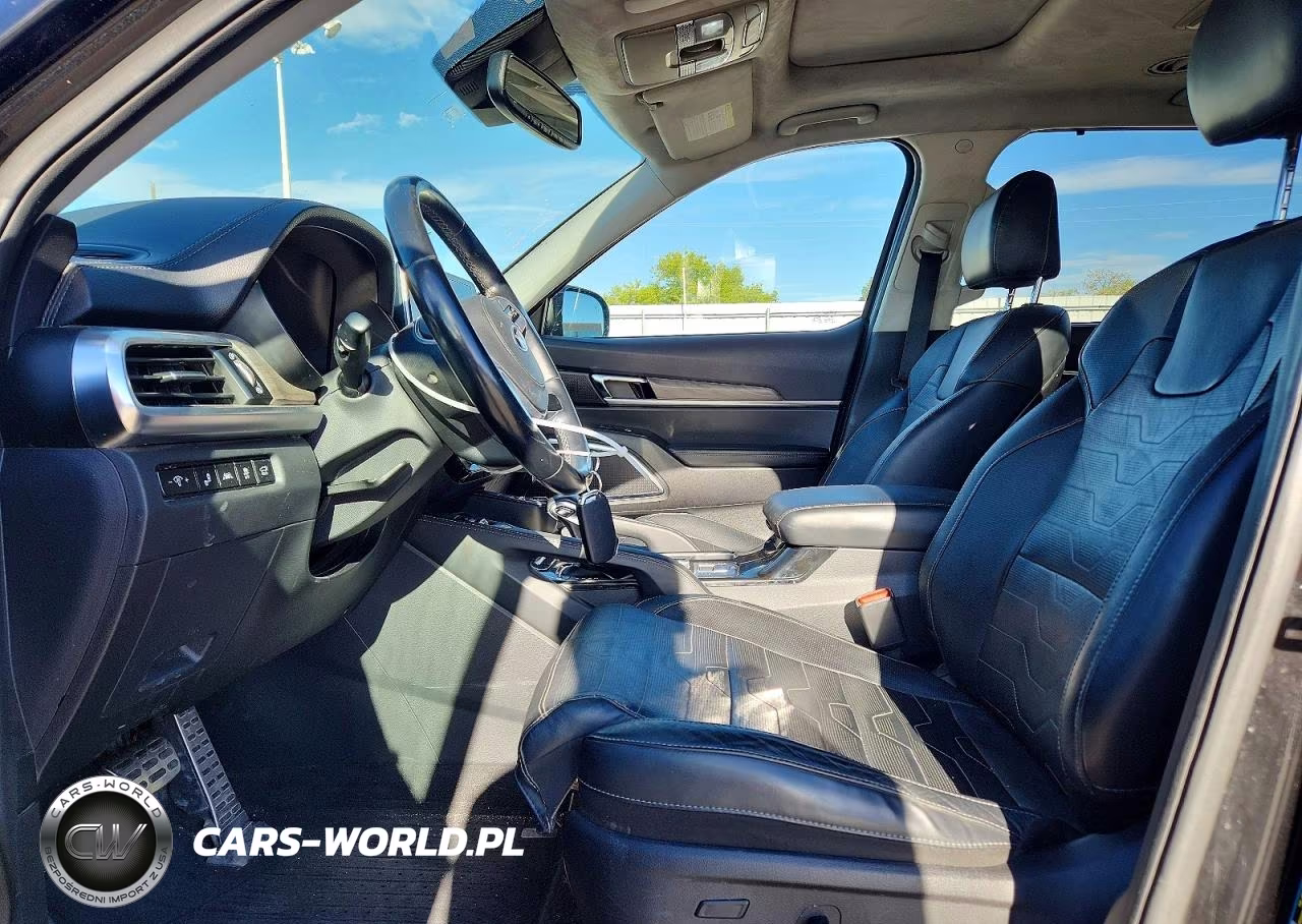2020 Kia Telluride Sx VIN:5XYP5DHCXLG066124 - 7