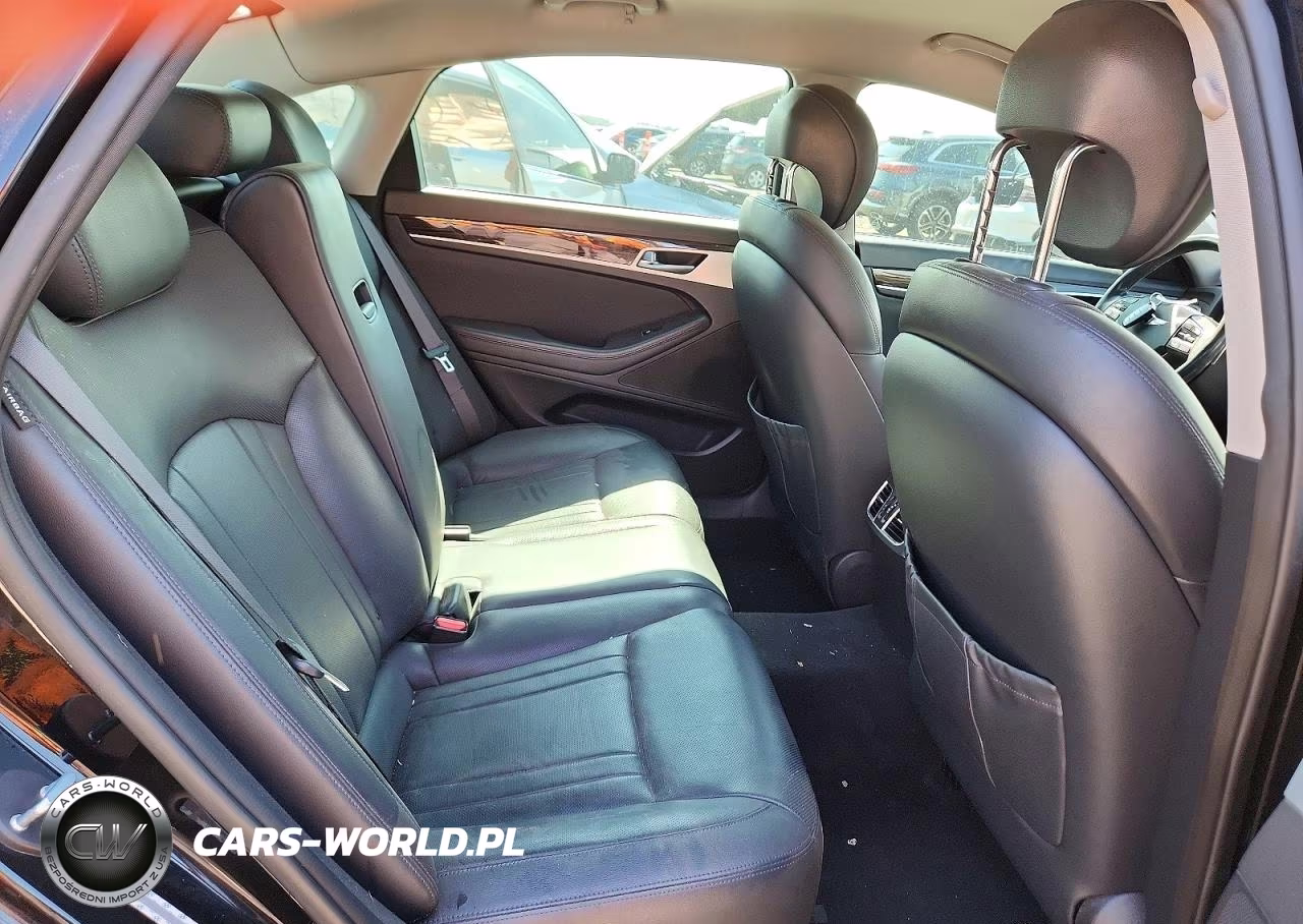 2015 Hyundai Genesis 3.8L VIN:KMHGN4JE3FU036411 - 10