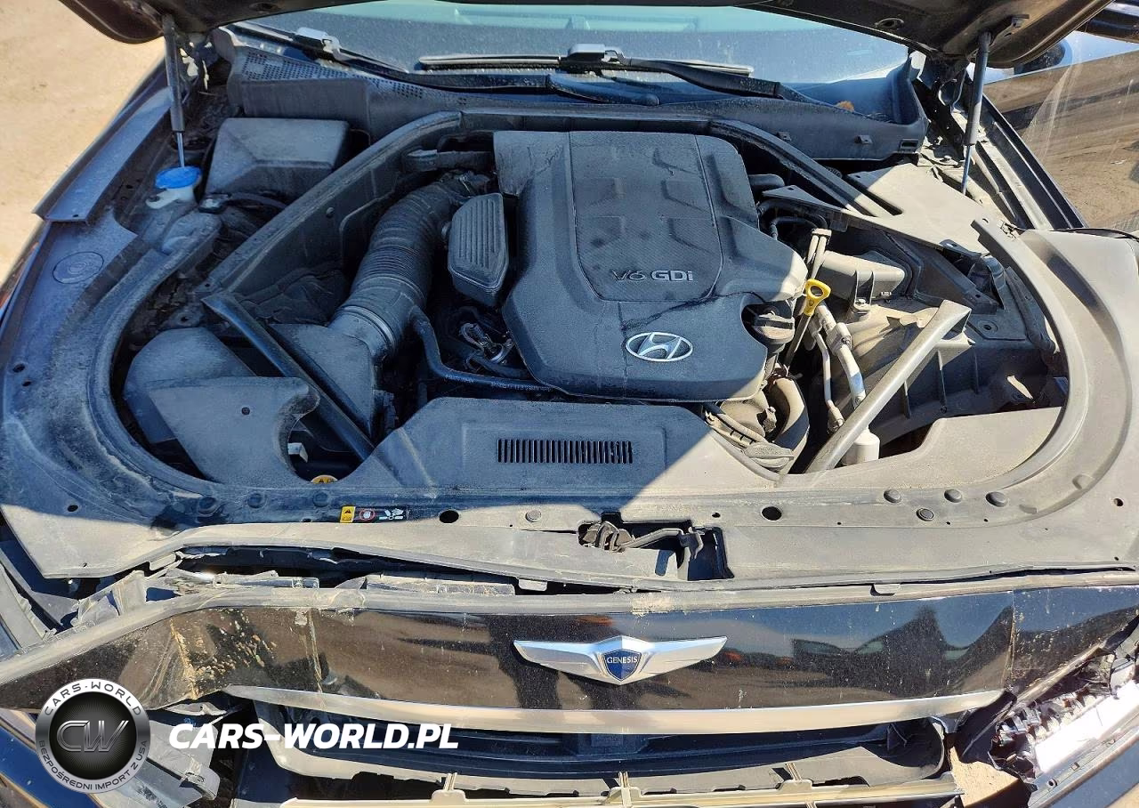 2015 Hyundai Genesis 3.8L VIN:KMHGN4JE3FU036411 - 11