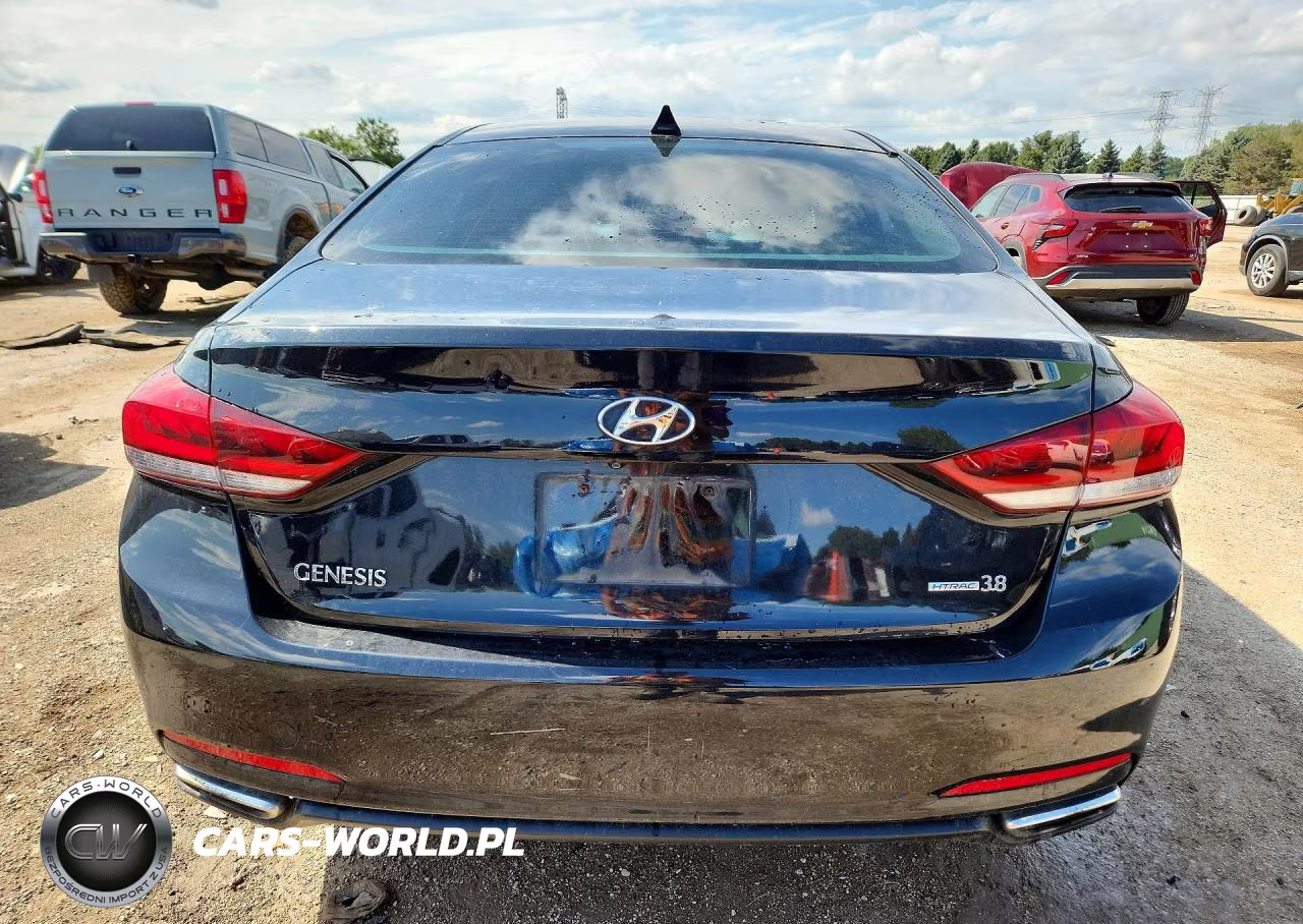 2015 Hyundai Genesis 3.8L VIN:KMHGN4JE3FU036411 - 6