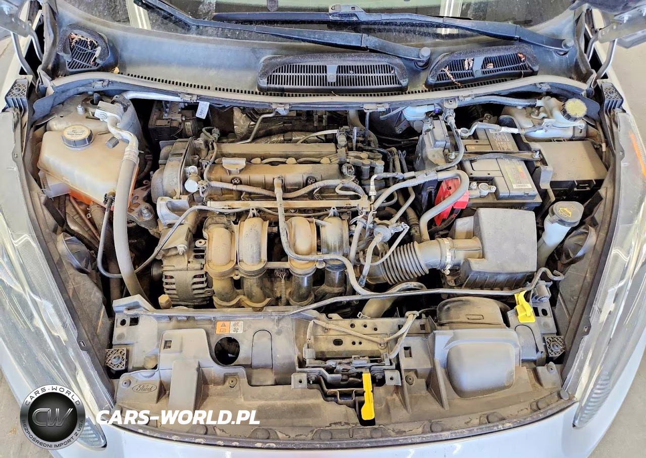 2014 Ford Fiesta Se VIN:3FADP4BJ3EM154318 - 11