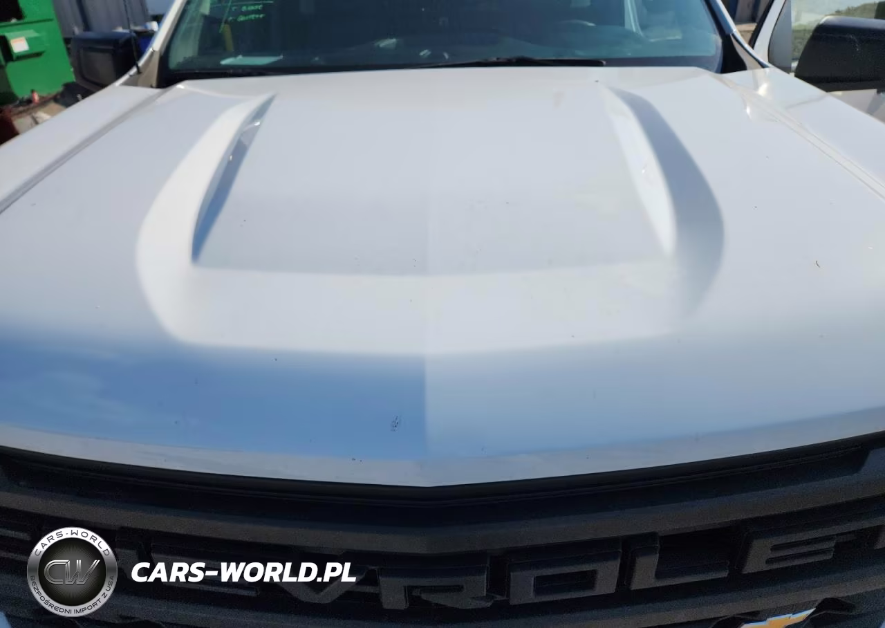 2023 Chevrolet Silverado C1500 VIN:3GCNAAEK7PG340142 - 11