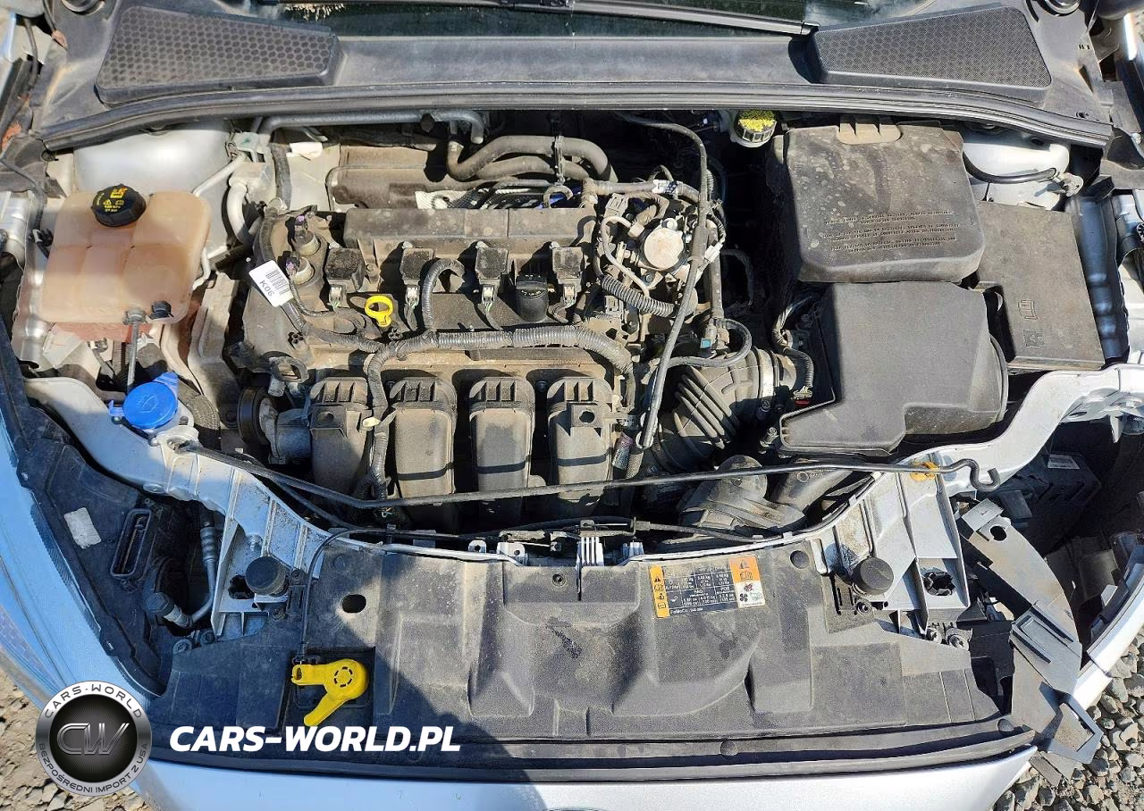 2016 Ford Focus Se VIN:1FADP3F20GL322188 - 11