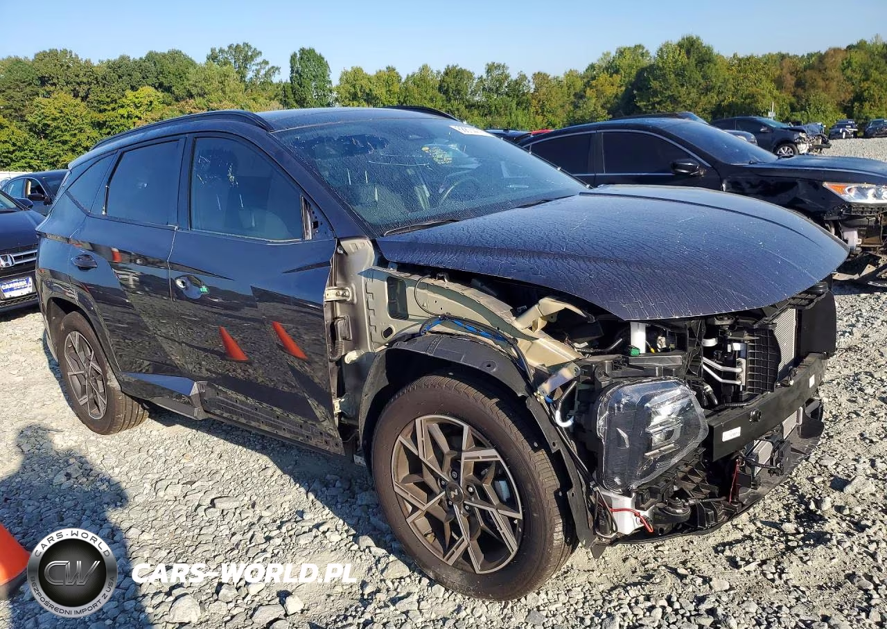 2025 Hyundai Tucson N Line VIN:KM8JFDD13SU295311 - 4