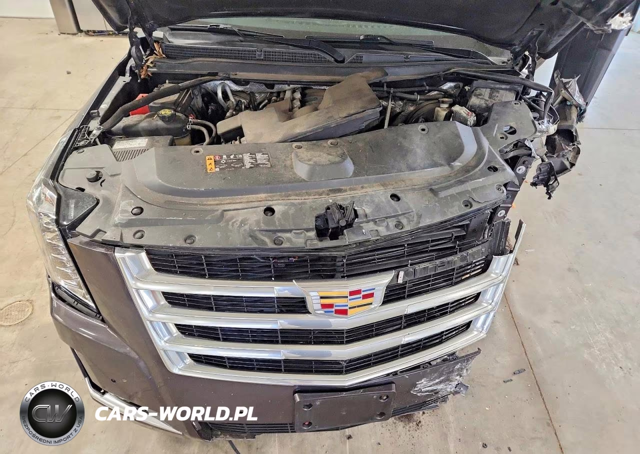 2017 Cadillac Escalade Luxury VIN:1GYS4BKJ8HR120029 - 12