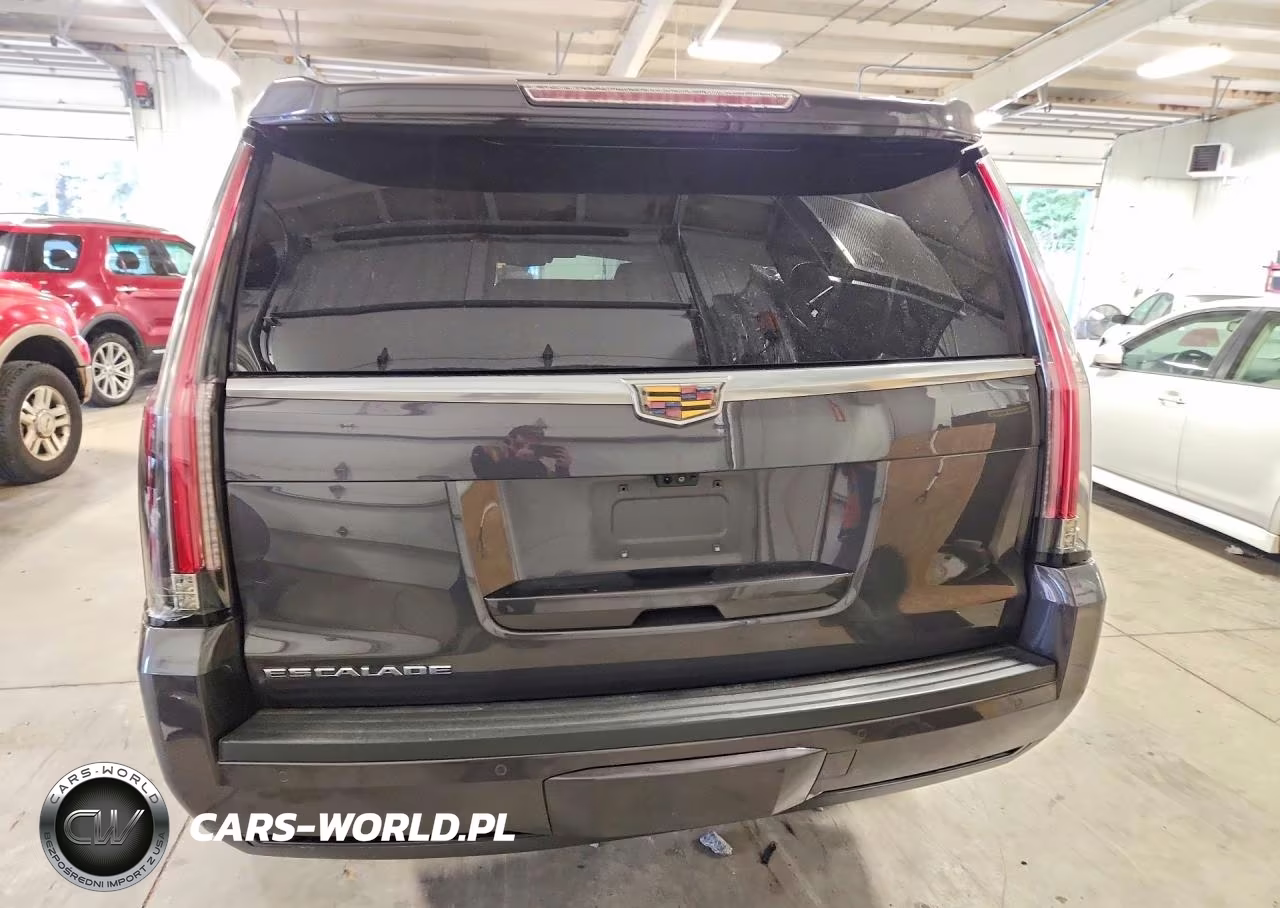 2017 Cadillac Escalade Luxury VIN:1GYS4BKJ8HR120029 - 6