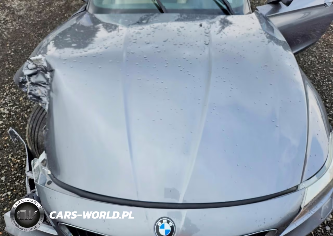 2009 BMW Z4 Sdrive30I VIN:WBALM53589E161117 - 11