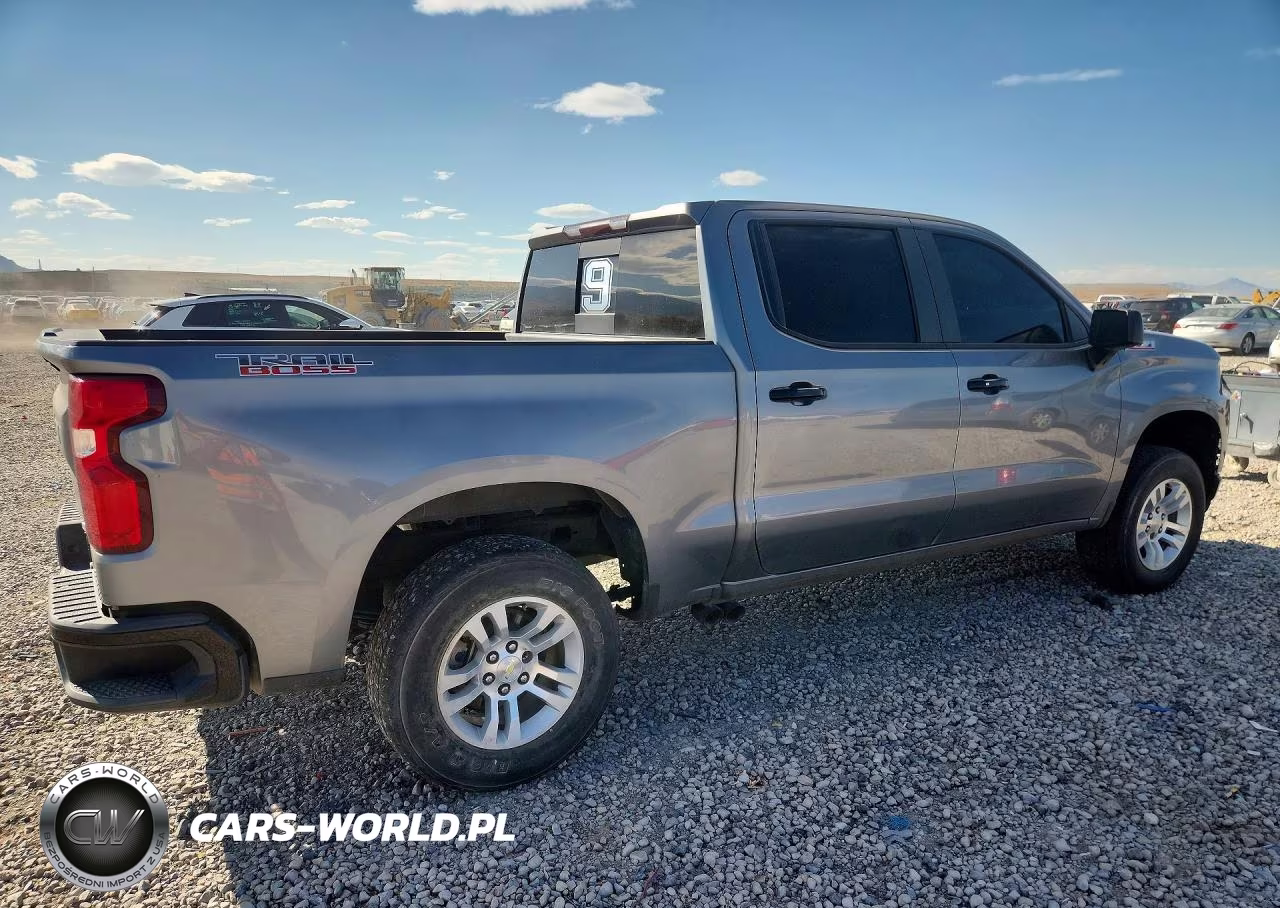 2020 Chevrolet Silverado K1500 Lt Trail Boss VIN:1GCPYFED2LZ123174 - 3