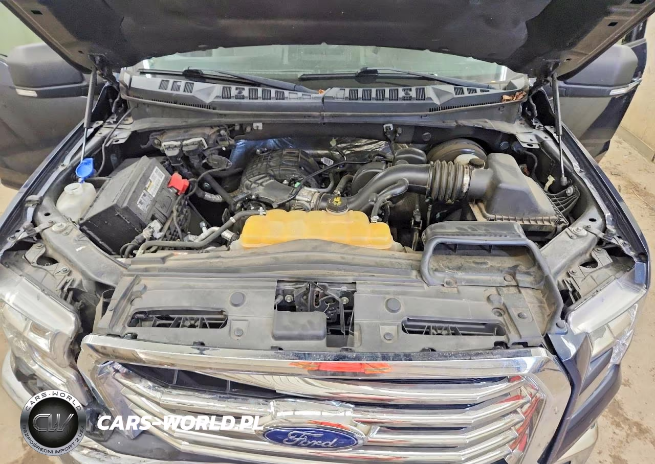 2016 Ford F150 Supercrew VIN:1FTEW1C86GFA07344 - 11