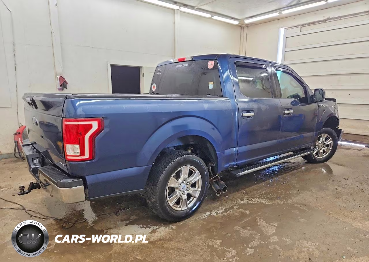2016 Ford F150 Supercrew VIN:1FTEW1C86GFA07344 - 3