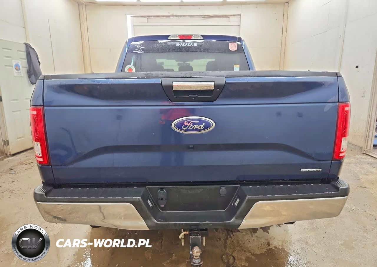 2016 Ford F150 Supercrew VIN:1FTEW1C86GFA07344 - 6