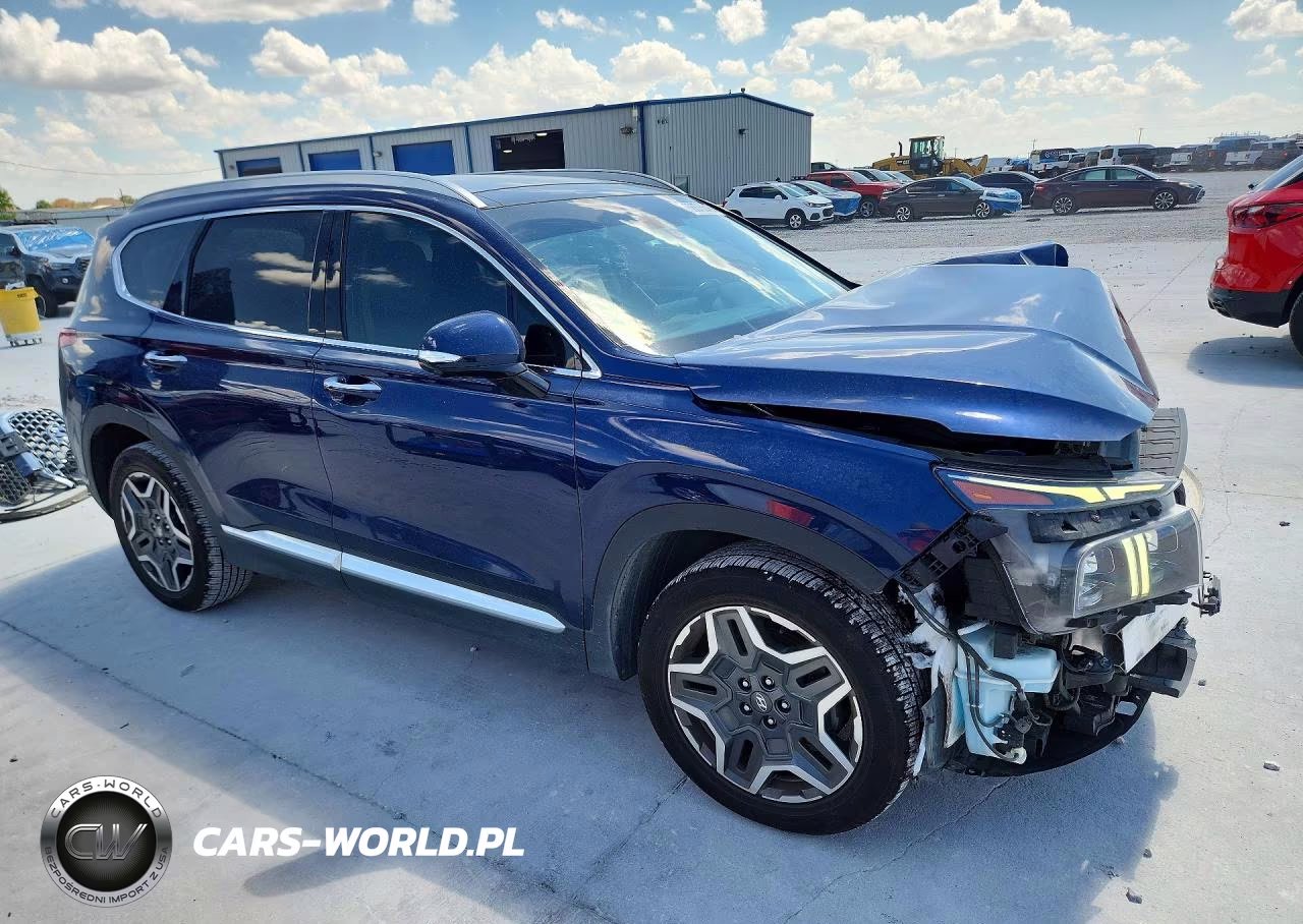2021 Hyundai Santa Fe Limited VIN:5NMS44AL9MH338872 - 4
