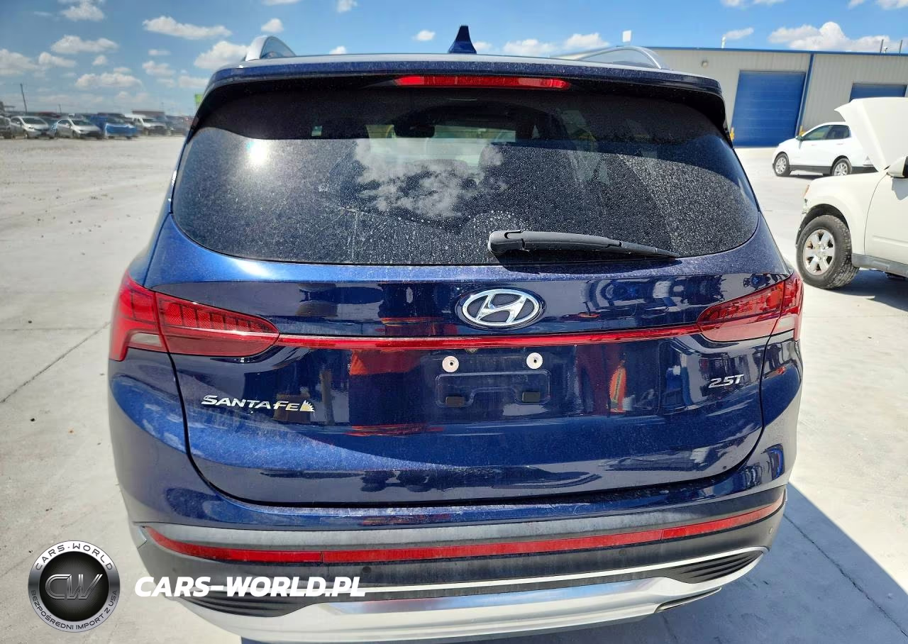 2021 Hyundai Santa Fe Limited VIN:5NMS44AL9MH338872 - 6