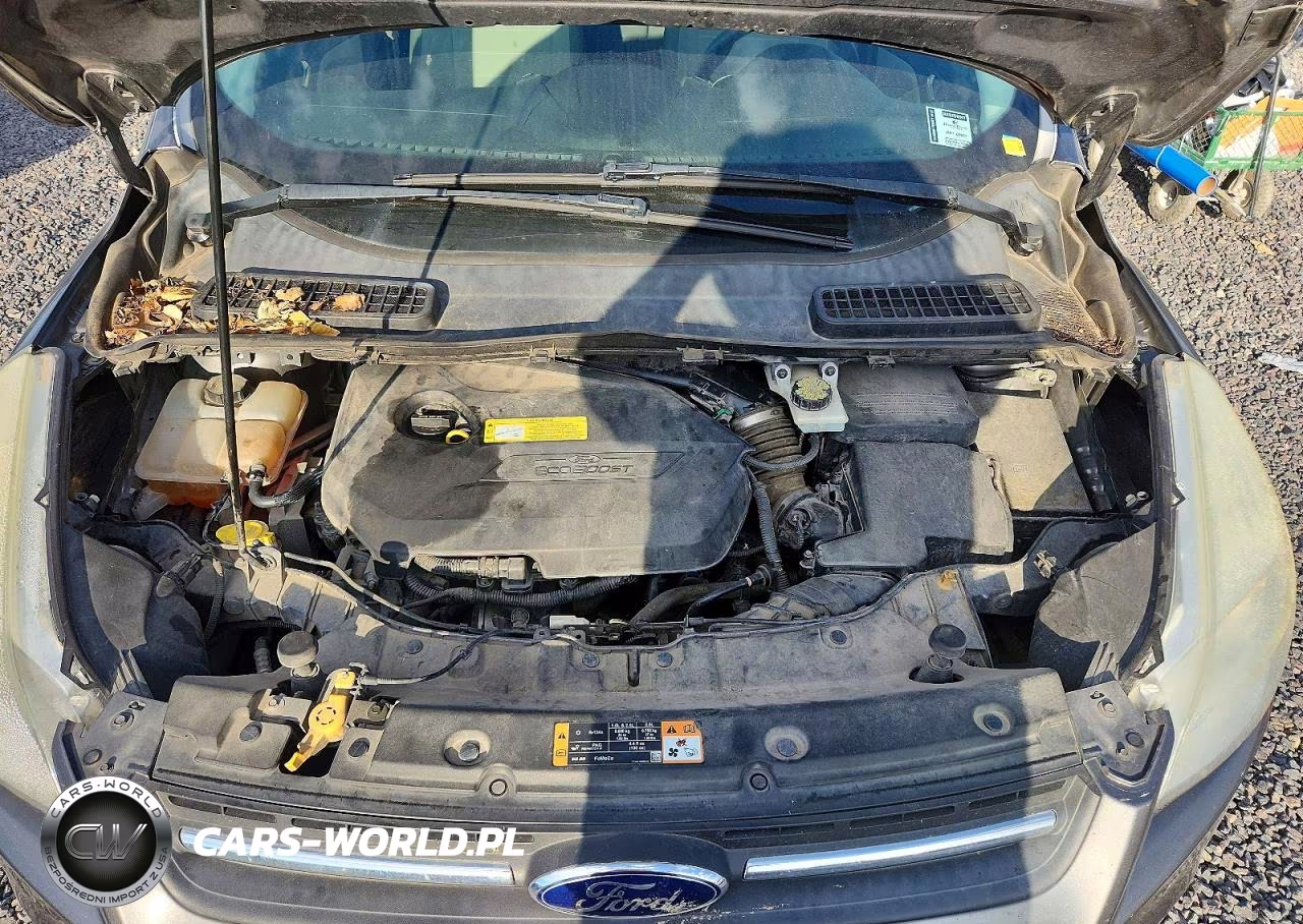2014 Ford Escape Se VIN:1FMCU0GX4EUD07431 - 12