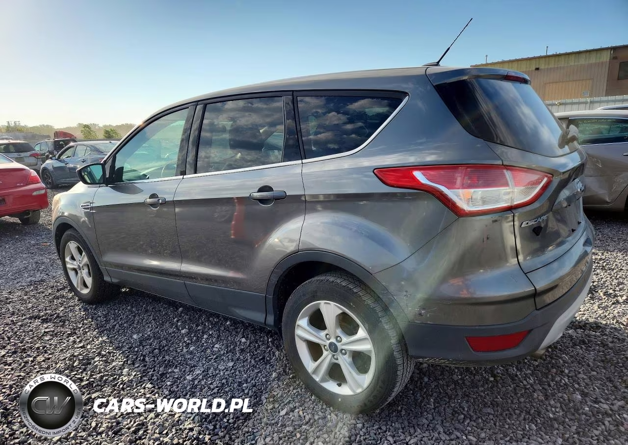 2014 Ford Escape Se VIN:1FMCU0GX4EUD07431 - 2