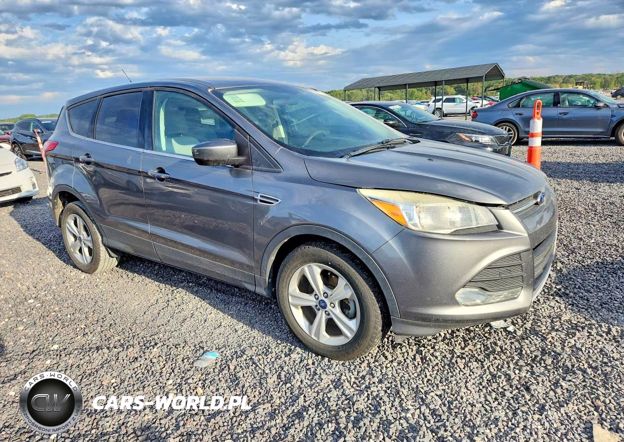 2014 Ford Escape Se VIN:1FMCU0GX4EUD07431 - 4