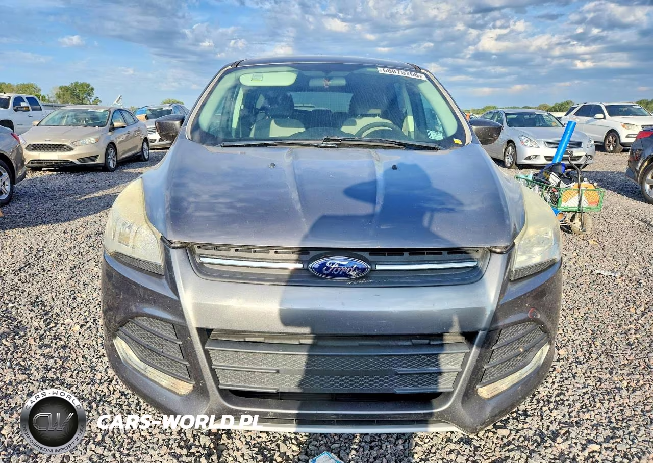 2014 Ford Escape Se VIN:1FMCU0GX4EUD07431 - 5
