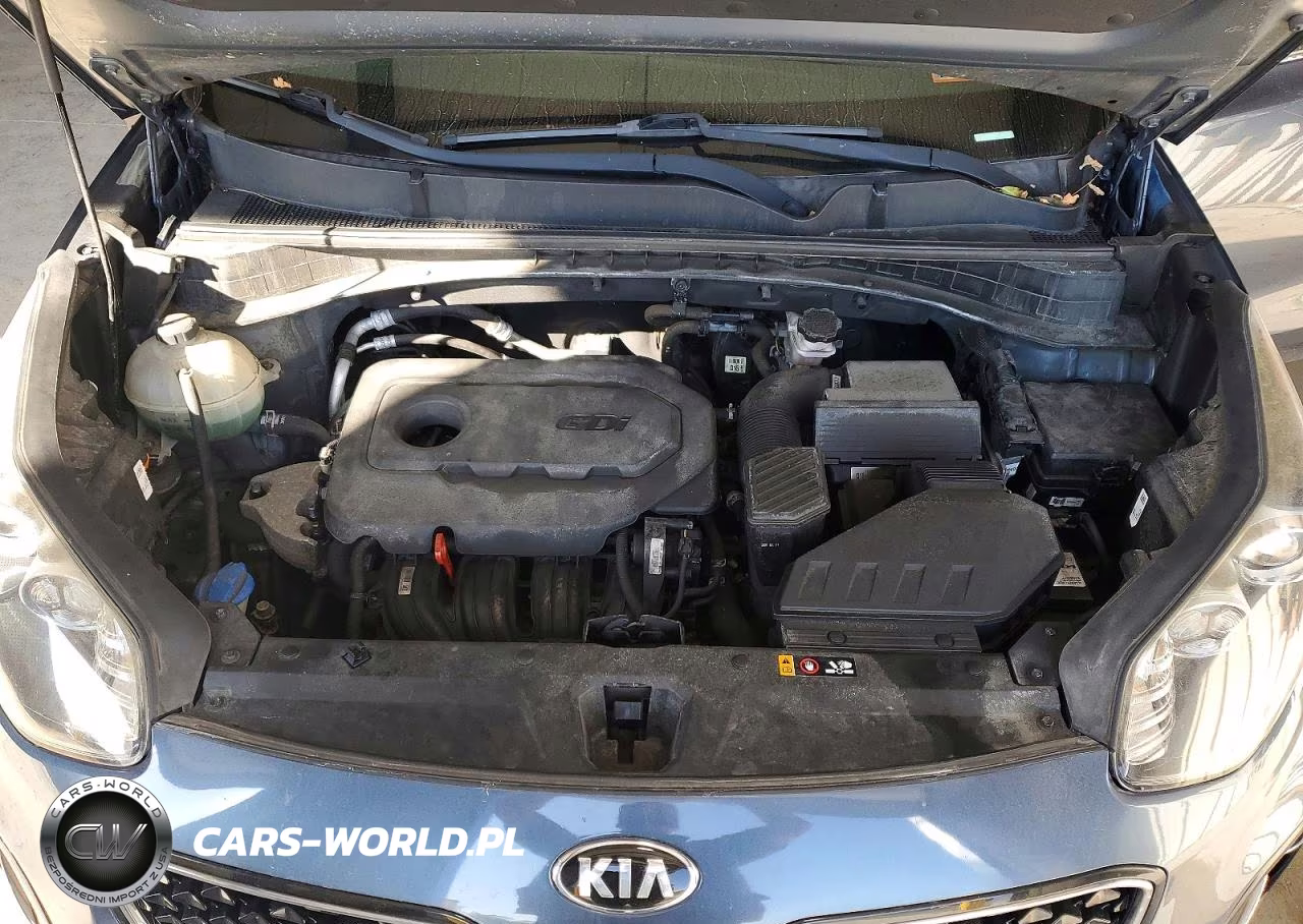 2017 Kia Sportage Lx VIN:KNDPMCAC8H7156562 - 12
