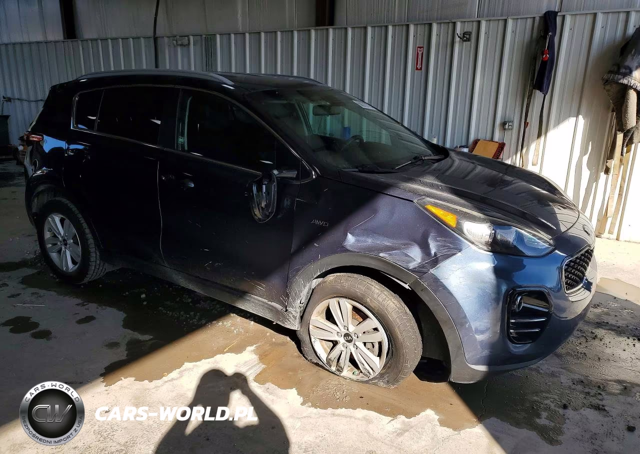 2017 Kia Sportage Lx VIN:KNDPMCAC8H7156562 - 4