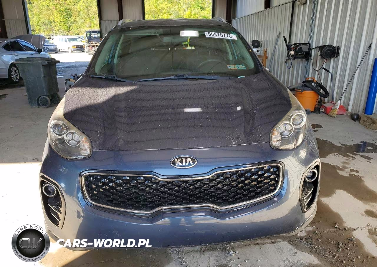 2017 Kia Sportage Lx VIN:KNDPMCAC8H7156562 - 5