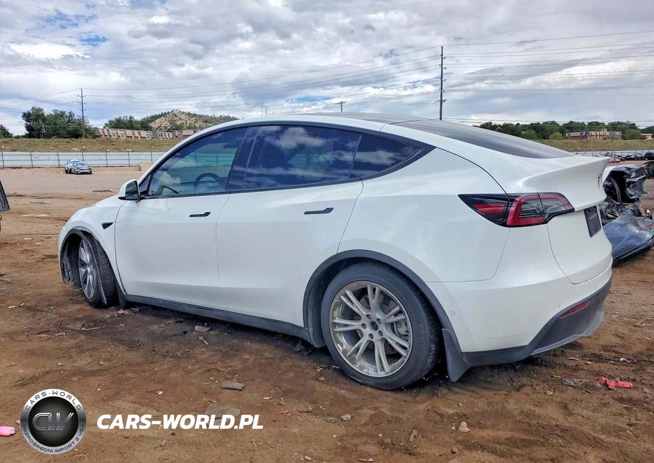 2022 Tesla Model Y VIN:7SAYGAEEXNF323878 - 2
