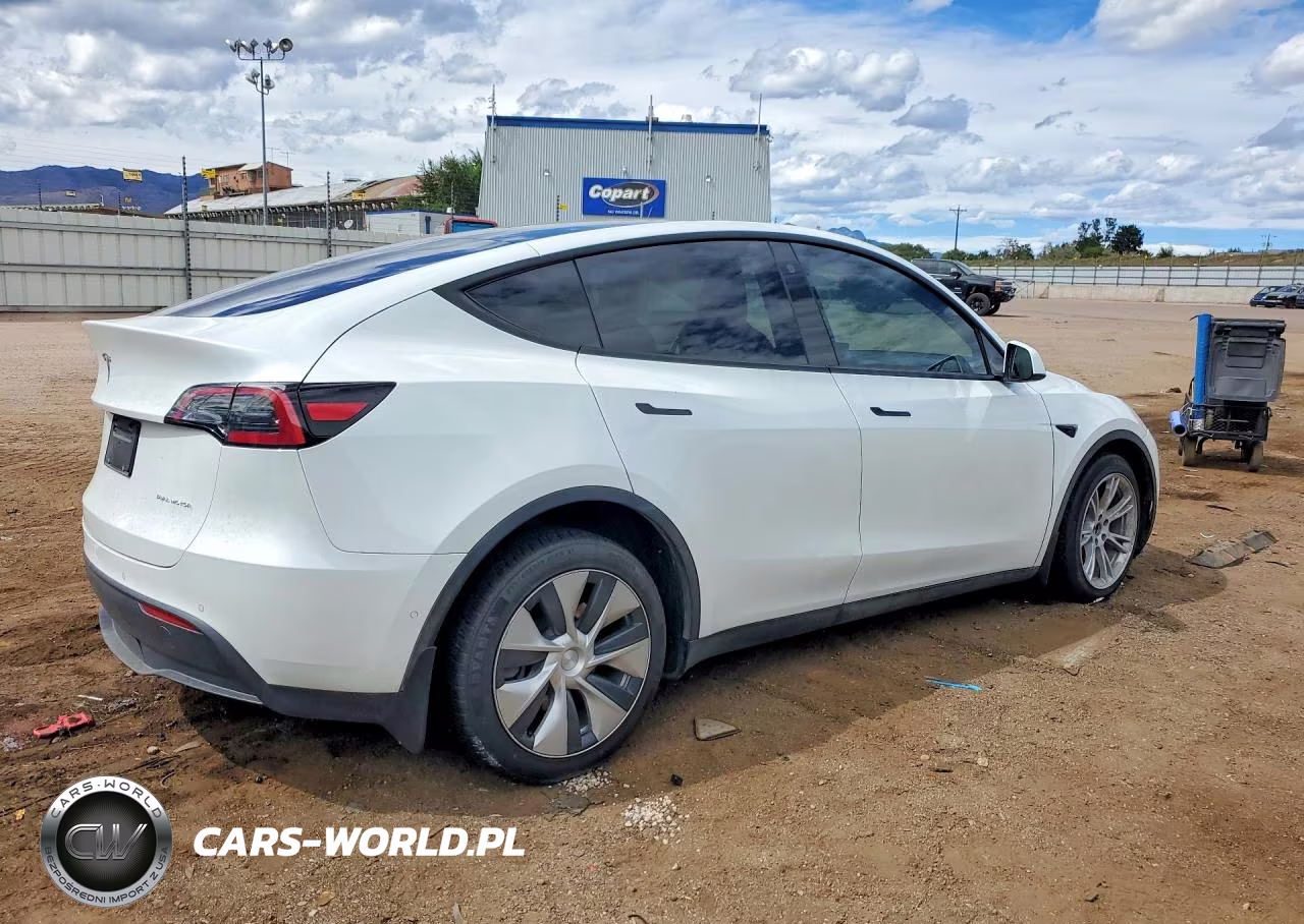 2022 Tesla Model Y VIN:7SAYGAEEXNF323878 - 3