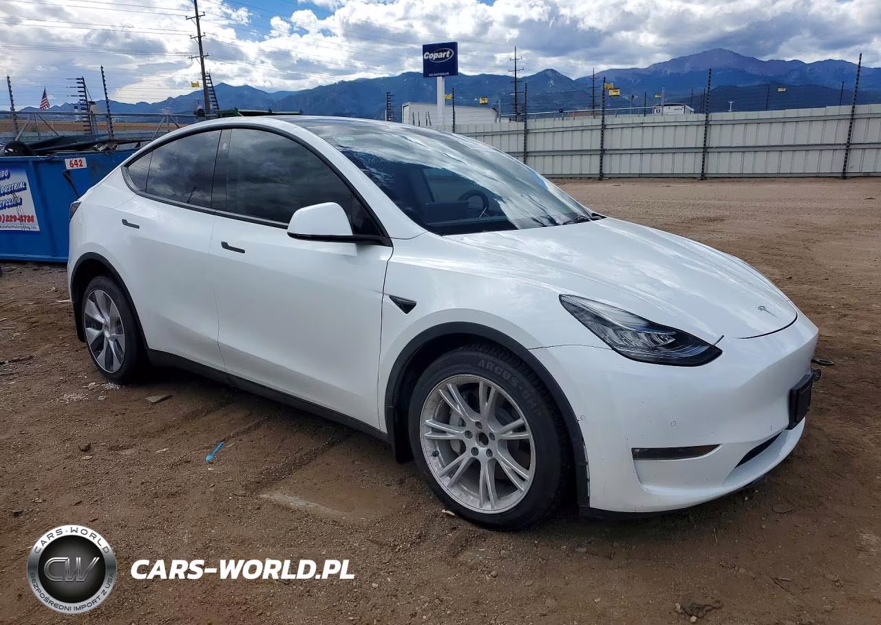2022 Tesla Model Y VIN:7SAYGAEEXNF323878 - 4