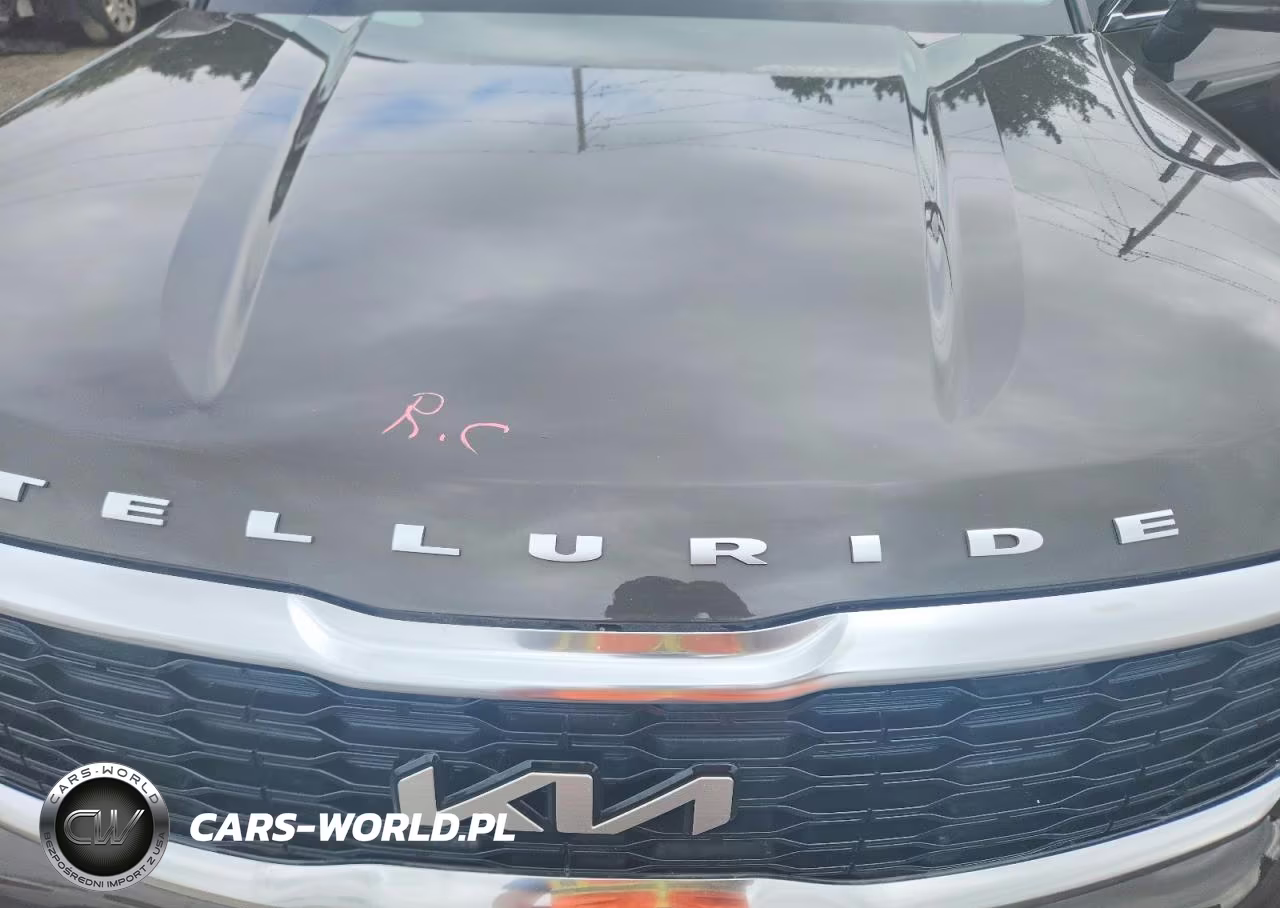 2022 Kia Telluride Ex VIN:5XYP34HC9NG305395 - 12