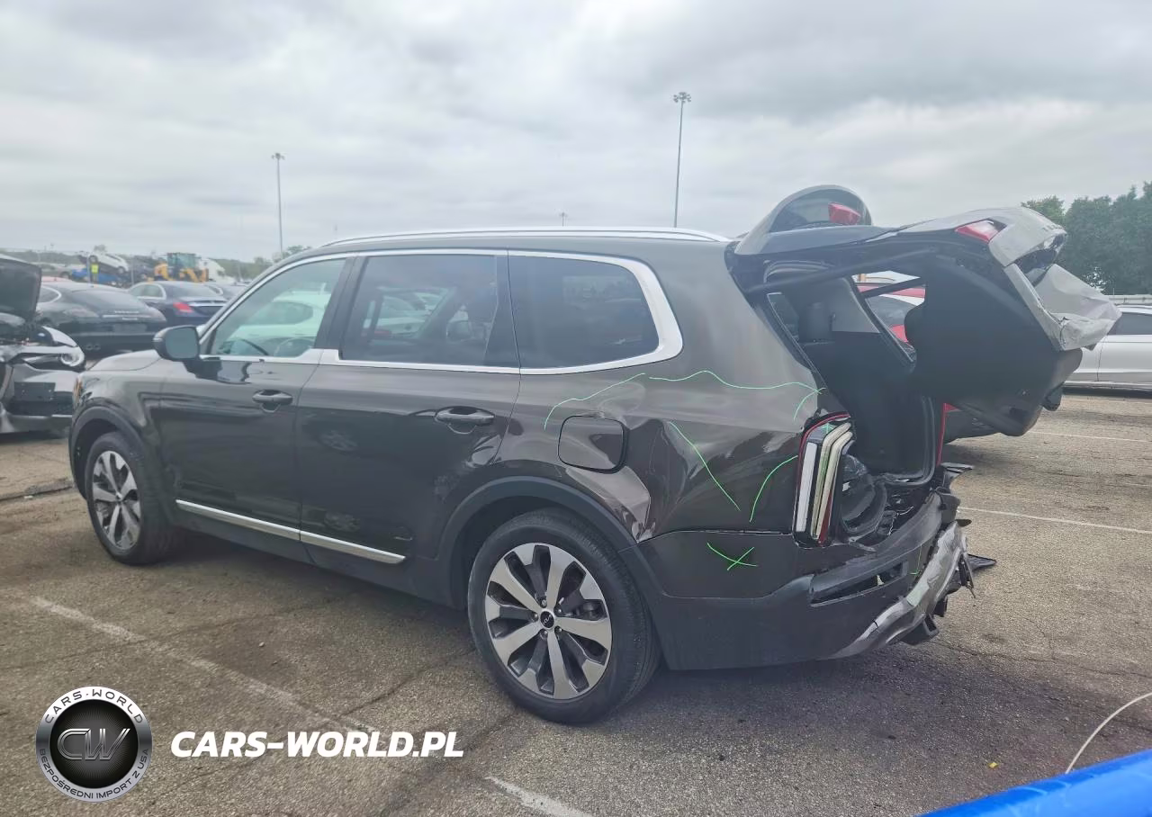 2022 Kia Telluride Ex VIN:5XYP34HC9NG305395 - 2