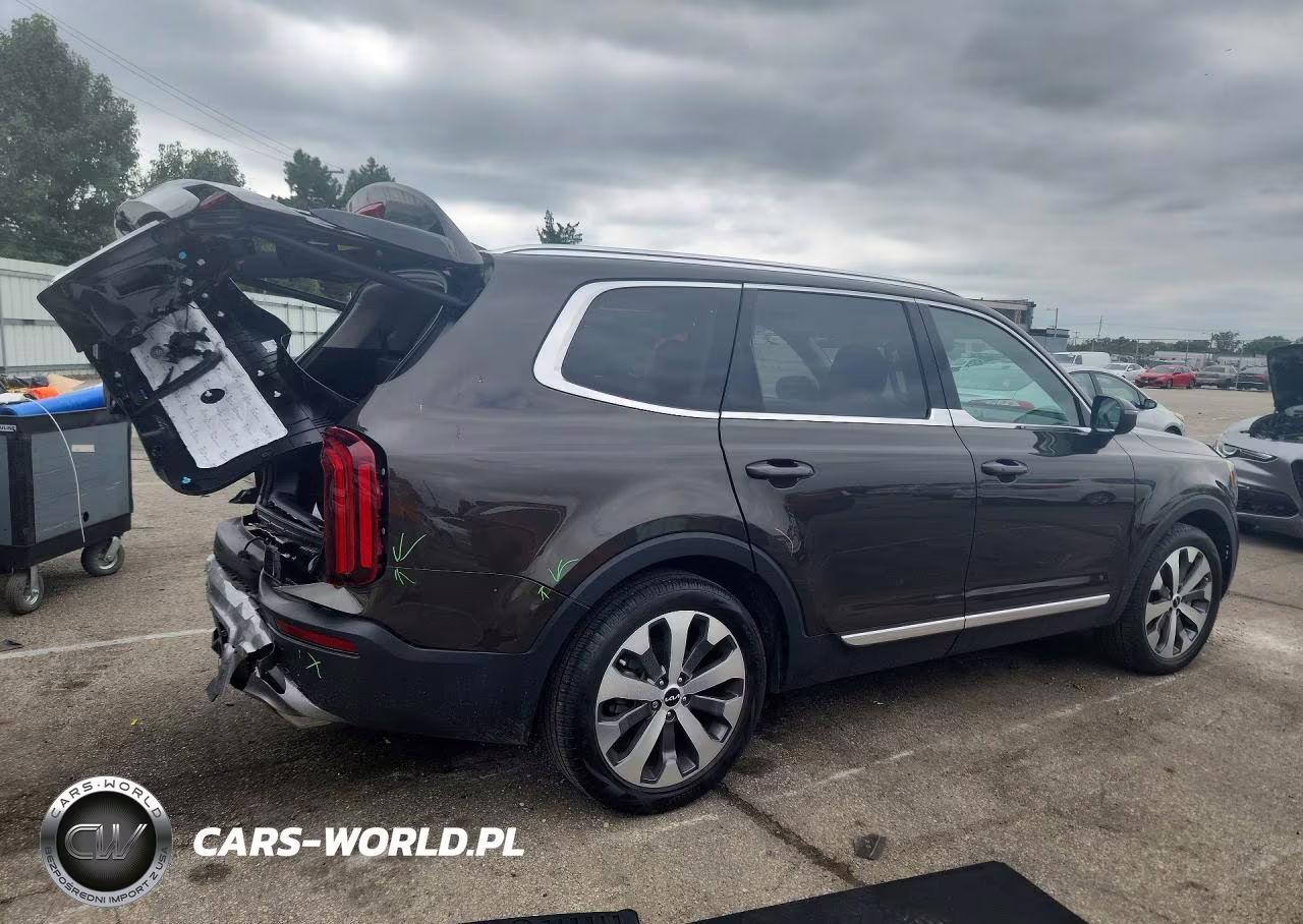 2022 Kia Telluride Ex VIN:5XYP34HC9NG305395 - 3