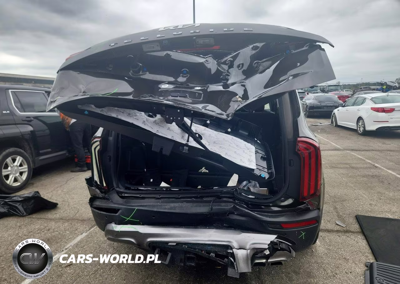 2022 Kia Telluride Ex VIN:5XYP34HC9NG305395 - 6