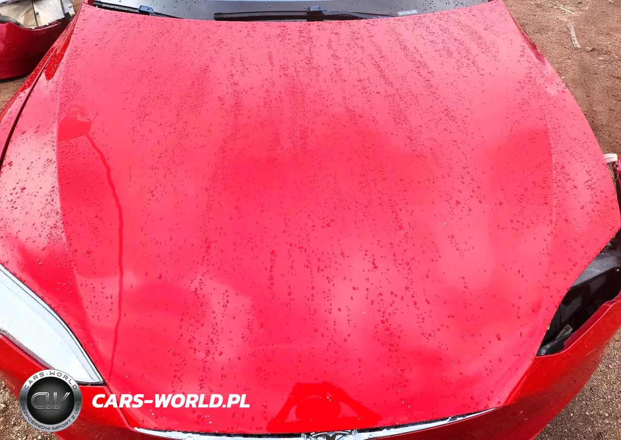 2017 Tesla Model S VIN:5YJSA1E28HF186549 - 11