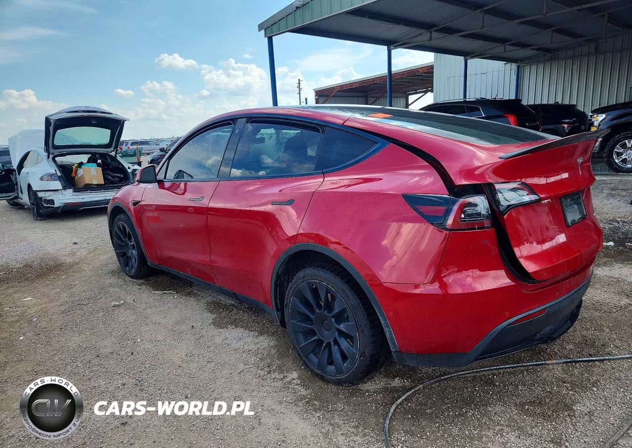 2022 Tesla Model Y VIN:7SAYGDEE3NF481447 - 2