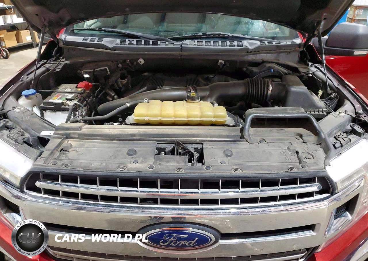 2019 Ford F150 Supercrew VIN:1FTEW1E48KKD70125 - 11