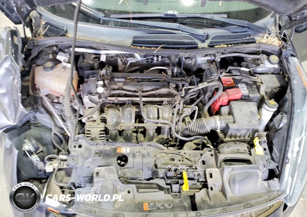 2016 Ford Fiesta Se VIN:3FADP4EJXGM143850 - 11