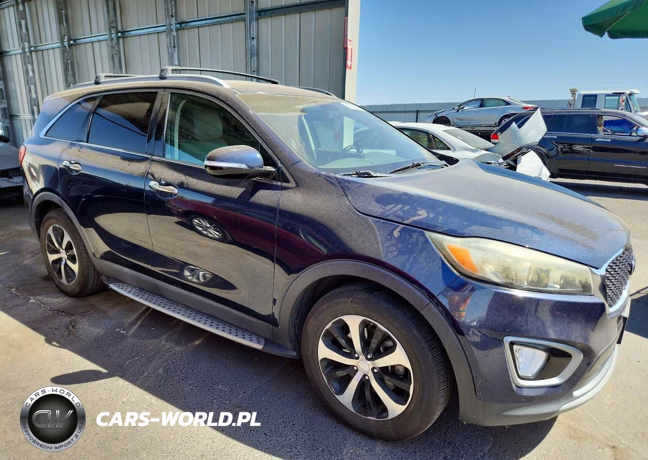 2016 Kia Sorento Ex VIN:5XYPH4A13GG047159 - 4