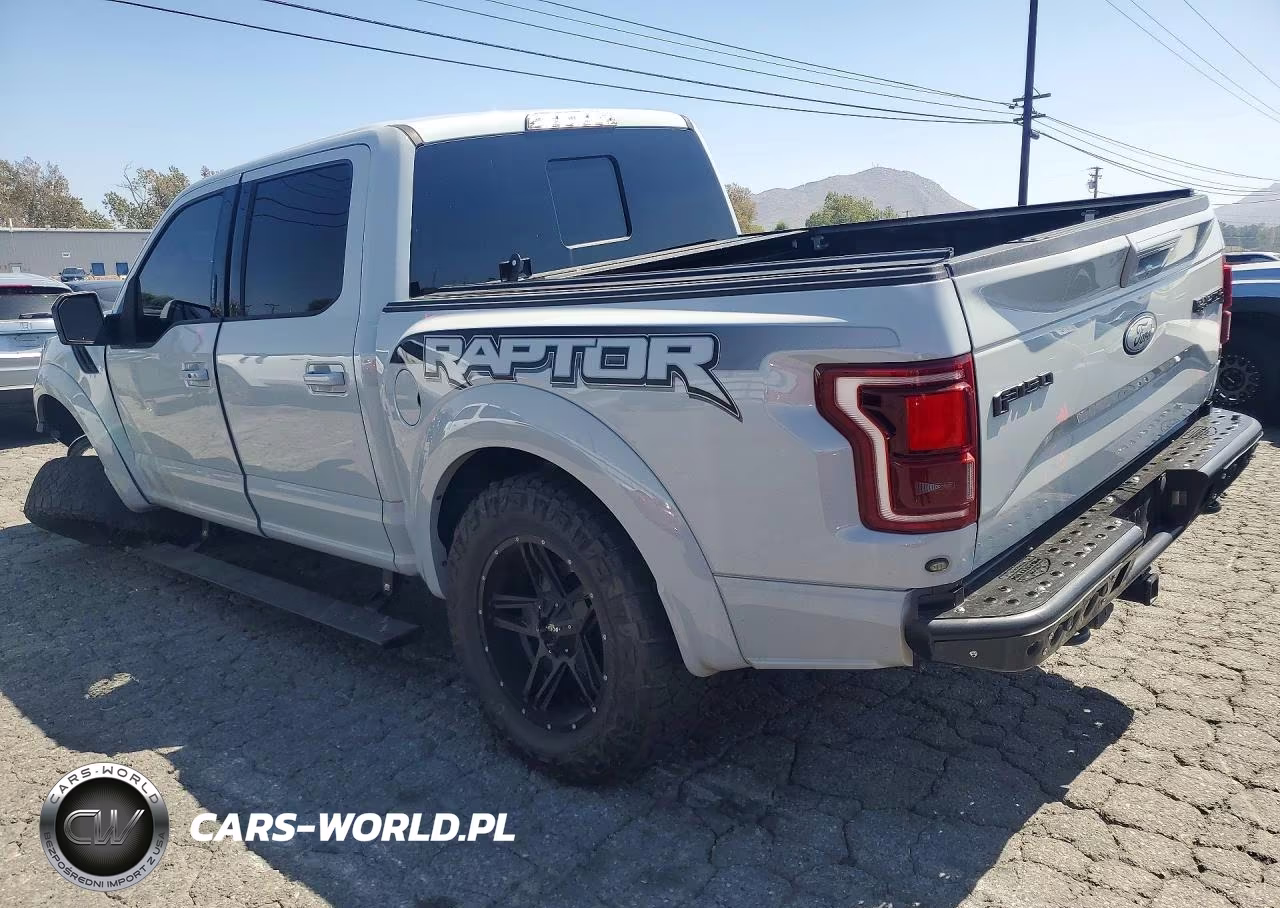 2017 Ford F150 Raptor VIN:1FTFW1RG4HFC92338 - 2