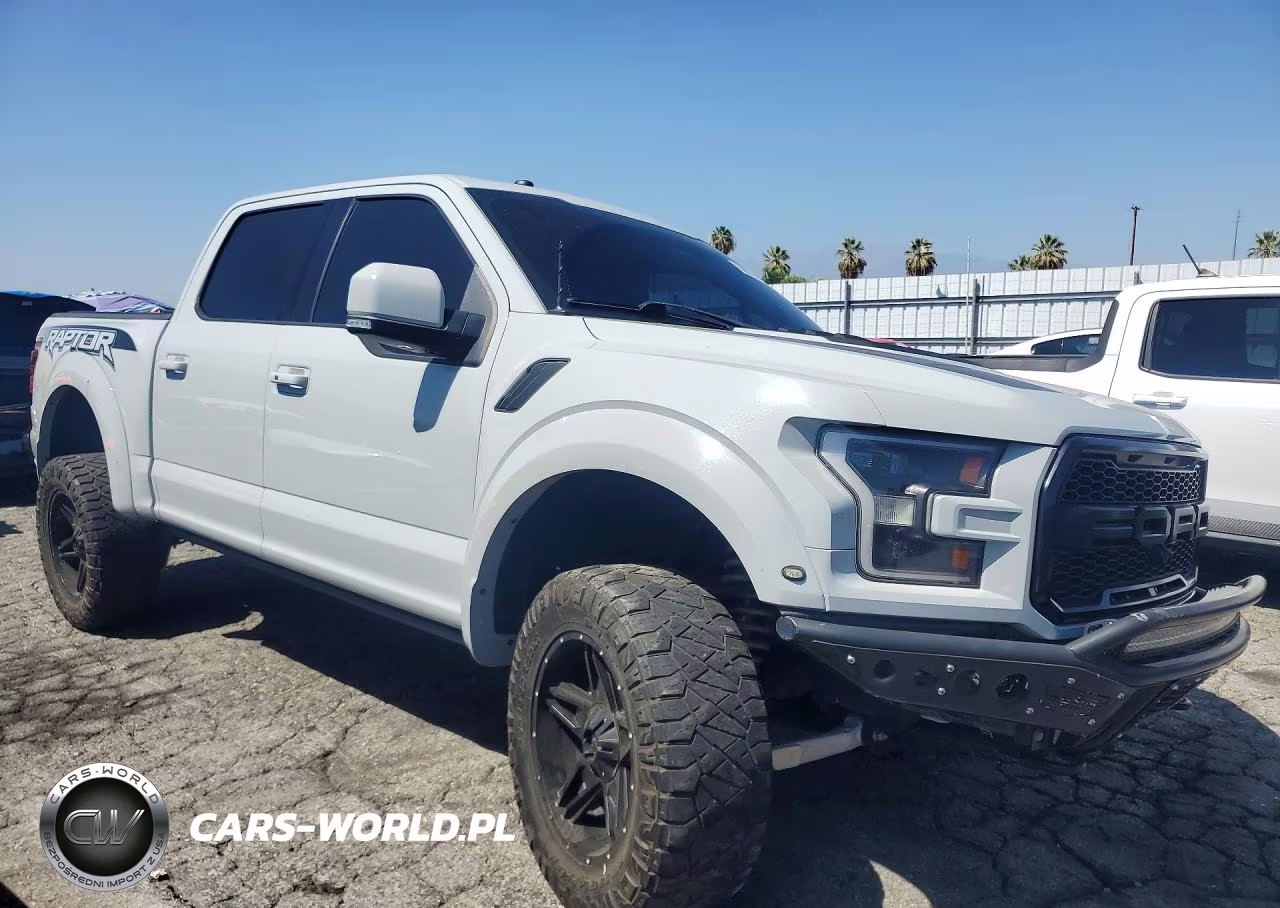 2017 Ford F150 Raptor VIN:1FTFW1RG4HFC92338 - 4